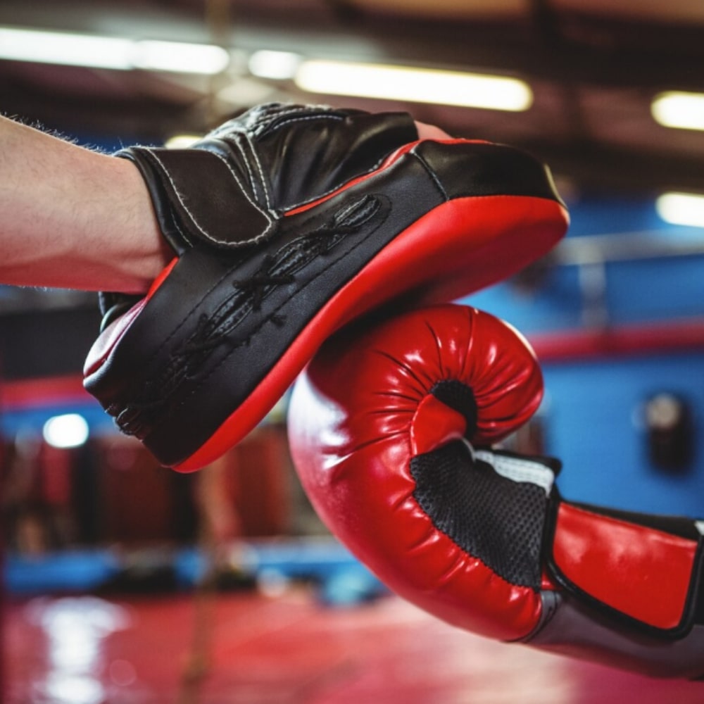 Focus Mitts