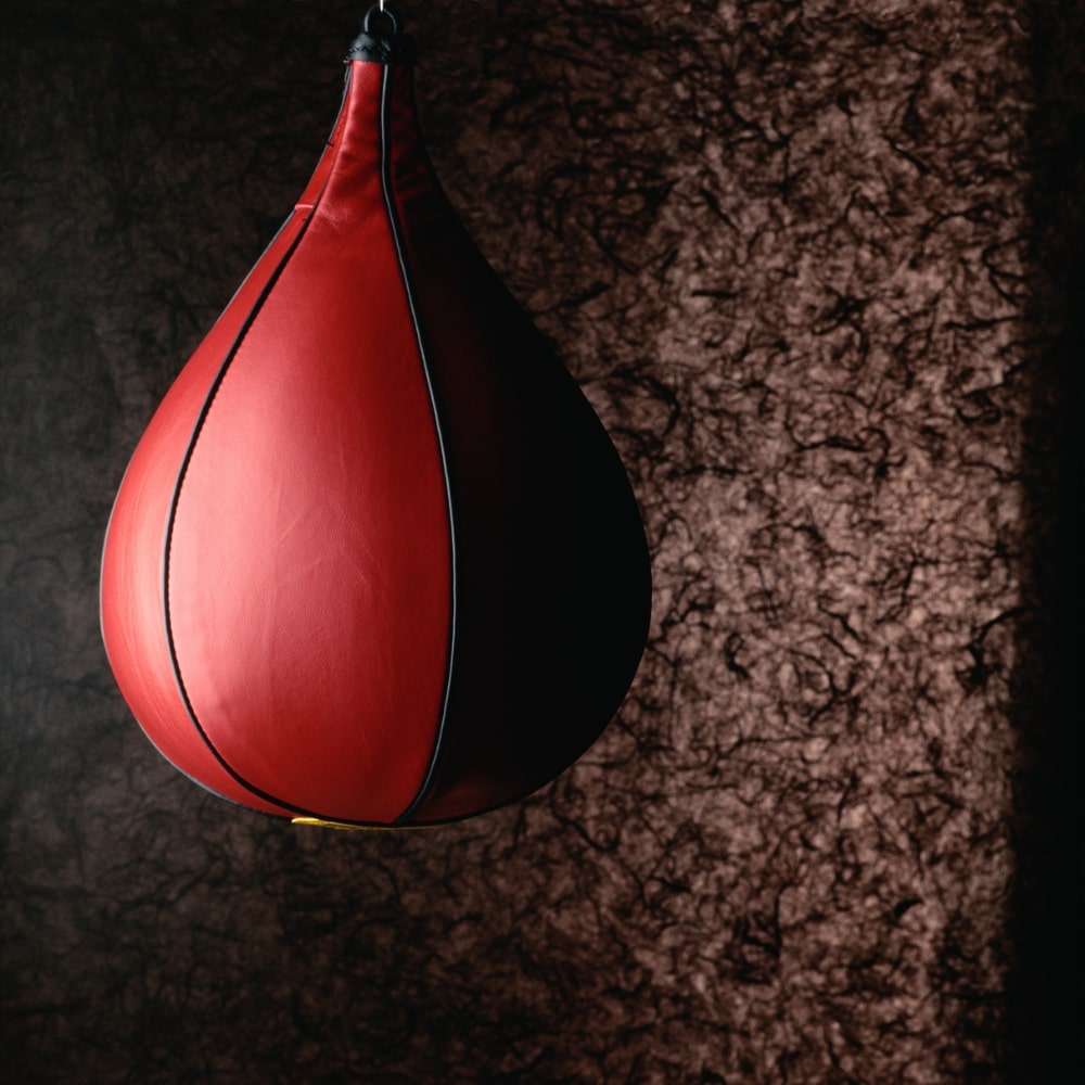 Speed Bag