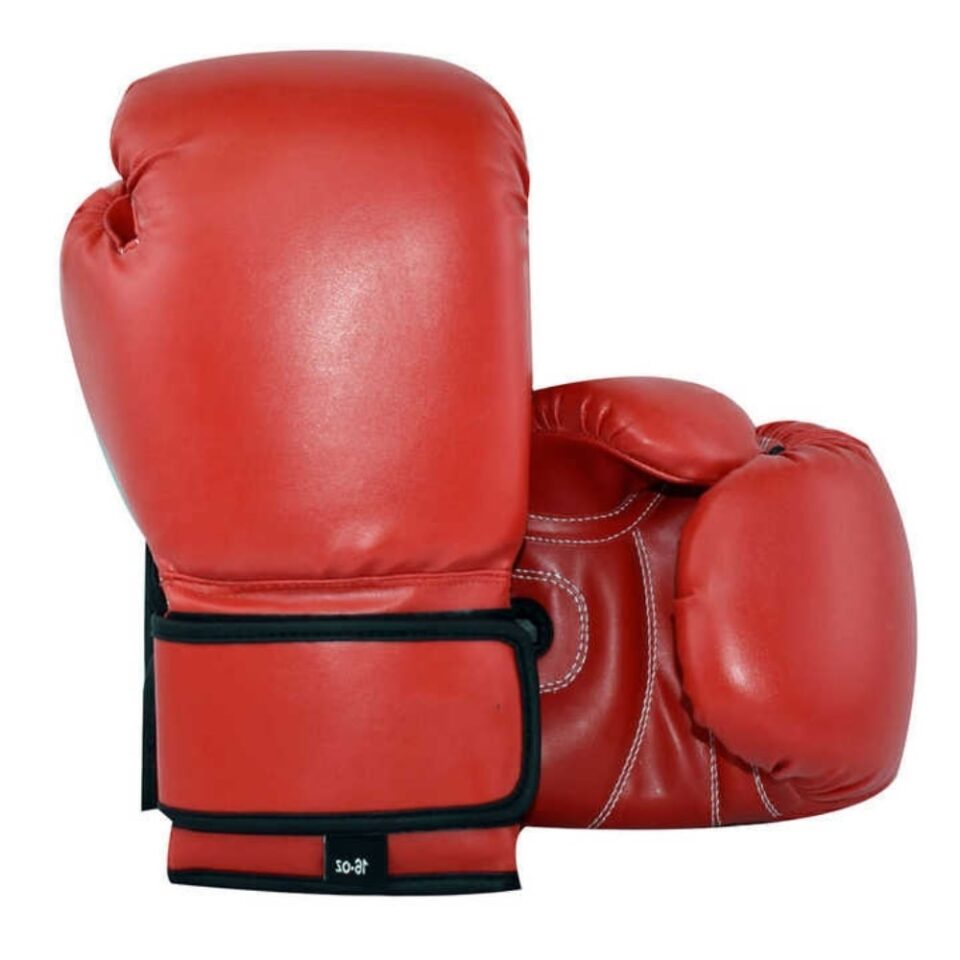 Best Boxing Gloves