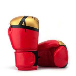 10 Oz Boxing Gloves