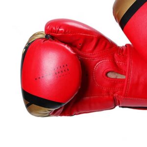 10 Oz Boxing Gloves