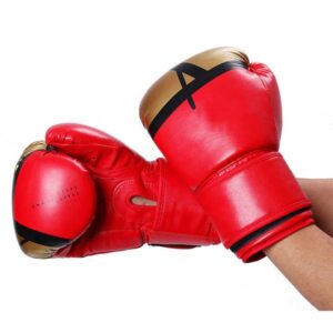 10 Oz Boxing Gloves