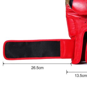 10 Oz Boxing Gloves