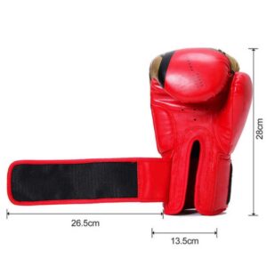 10 Oz Boxing Gloves