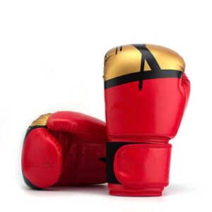 10 Oz Boxing Gloves
