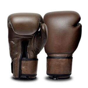 10oz Boxing Gloves