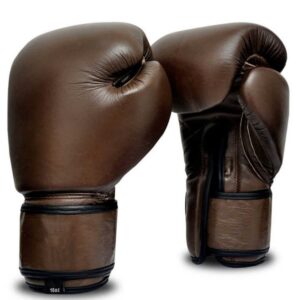 10oz Boxing Gloves
