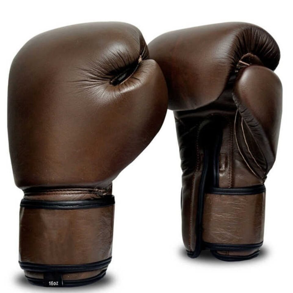 10oz Boxing Gloves 1