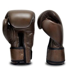 10oz Boxing Gloves