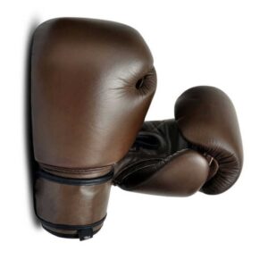 10oz Boxing Gloves