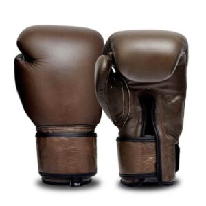 10oz Boxing Gloves
