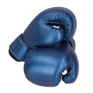 12 Oz Boxing Gloves