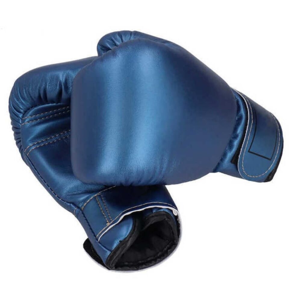 12 Oz Boxing Gloves 1