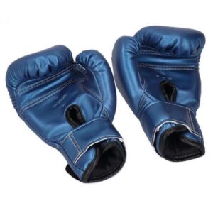 12 Oz Boxing Gloves