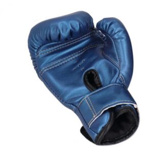 12 Oz Boxing Gloves
