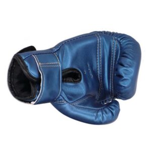 12 Oz Boxing Gloves