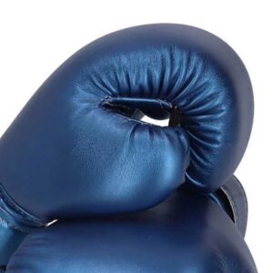12 Oz Boxing Gloves