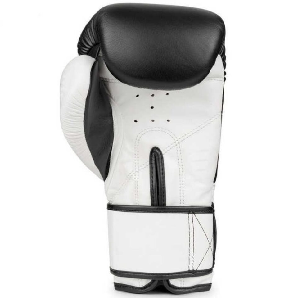Boxing Gloves Best 1