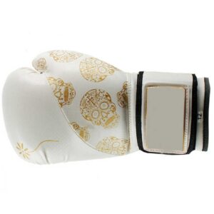 10 Ounce Boxing Gloves