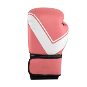 12oz Boxing Gloves