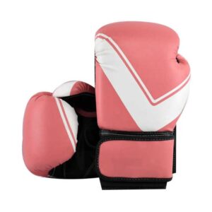 12oz Boxing Gloves