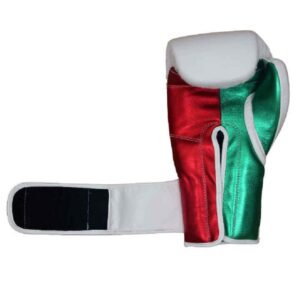 14 0z Boxing Gloves