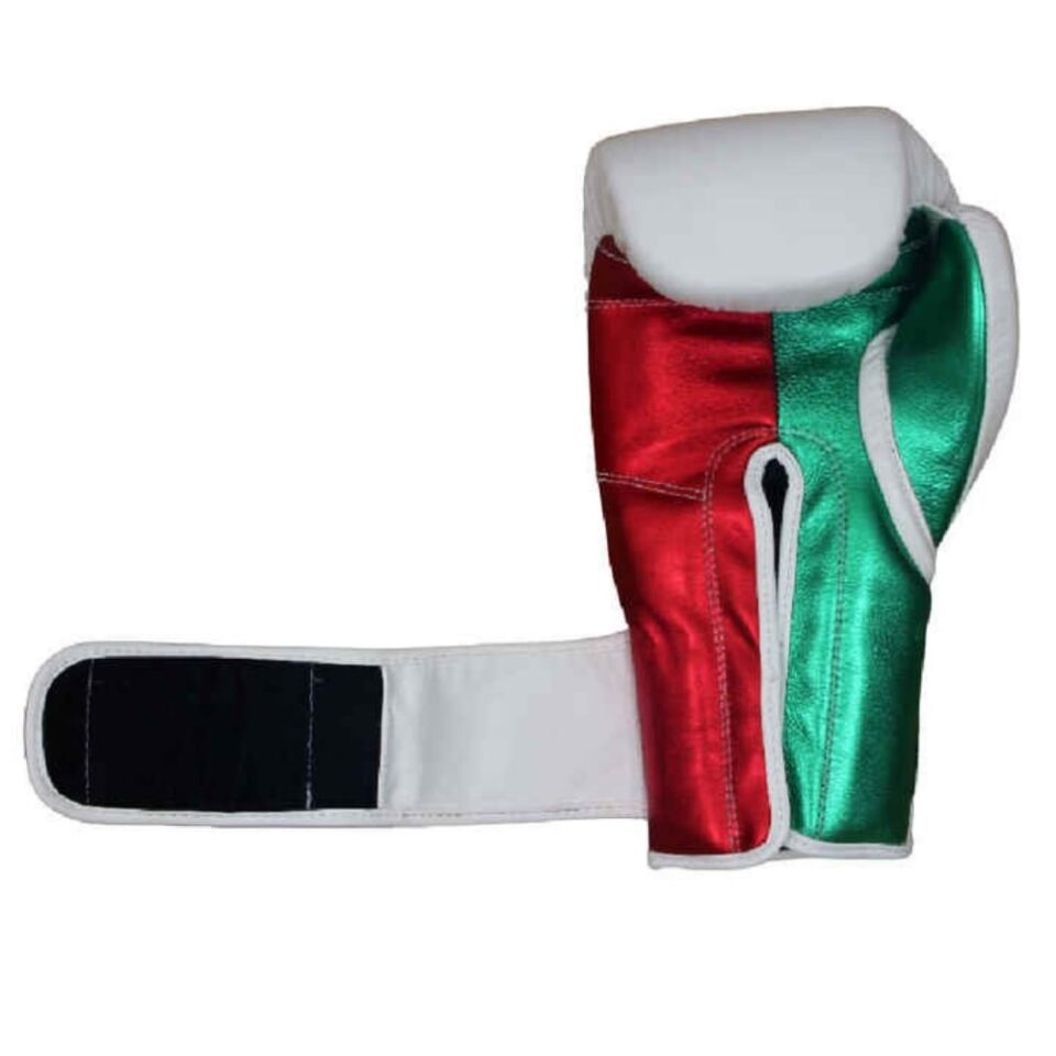 14 0z Boxing Gloves 1
