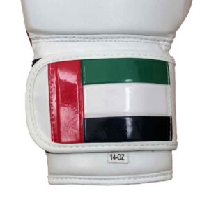 14 0z Boxing Gloves