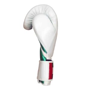 14 0z Boxing Gloves
