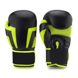 12 Ounce Boxing Gloves