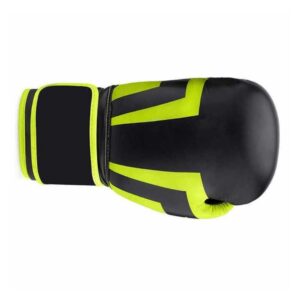 12 Ounce Boxing Gloves