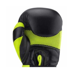 12 Ounce Boxing Gloves