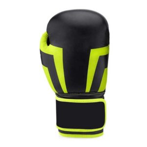 12 Ounce Boxing Gloves