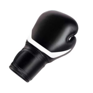 16oz Gloves Boxing