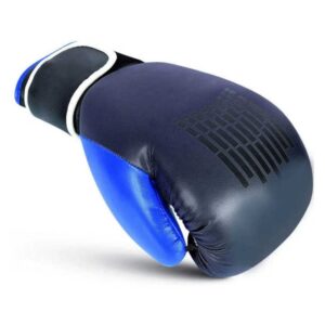 Best Boxing Gloves For Beginners