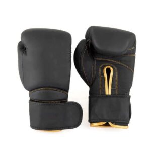 Boxing Gloves 12 Ounces