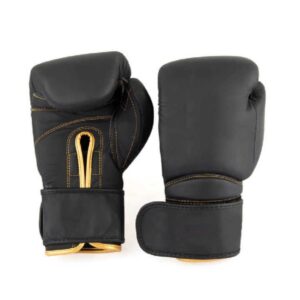 Boxing Gloves 12 Ounces