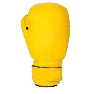 Boxing Gloves 8 Ounces