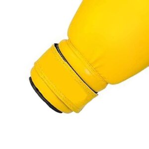 Boxing Gloves 8 Ounces
