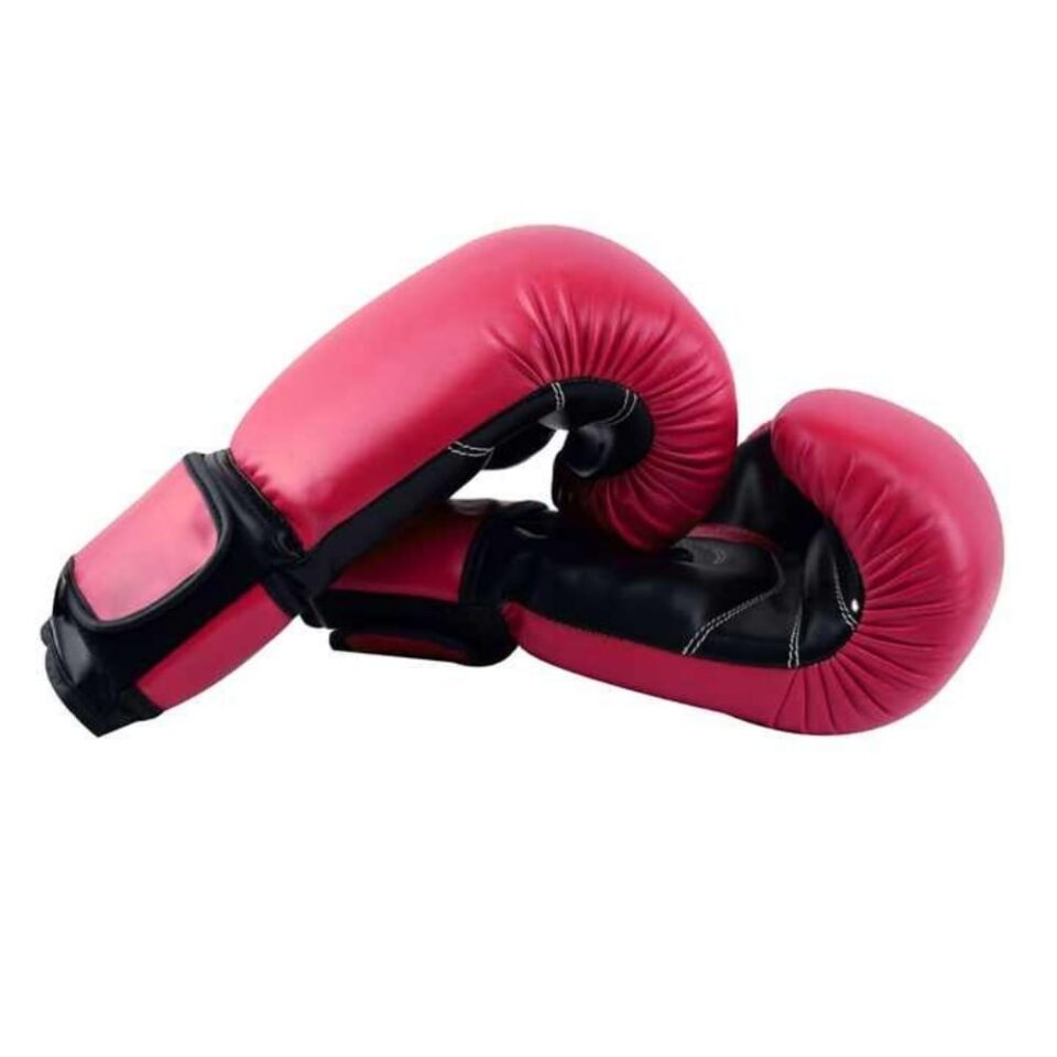 10 Oz Gloves Boxing 1