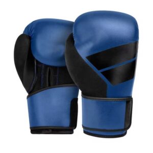 10oz Gloves Boxing