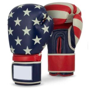 Custom Boxing Gloves