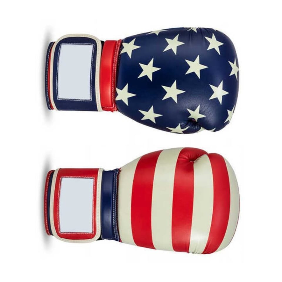Custom Boxing Gloves 1