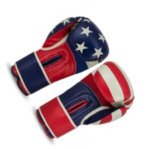 Custom Boxing Gloves