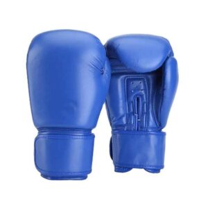 Blue Boxing Gloves