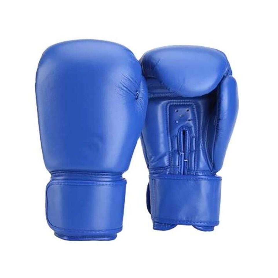 Blue Boxing Gloves