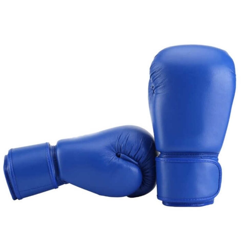 Blue Boxing Gloves 1