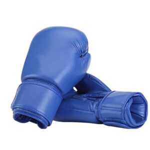 Blue Boxing Gloves
