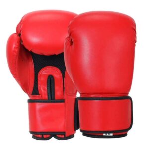 14oz Boxing Gloves