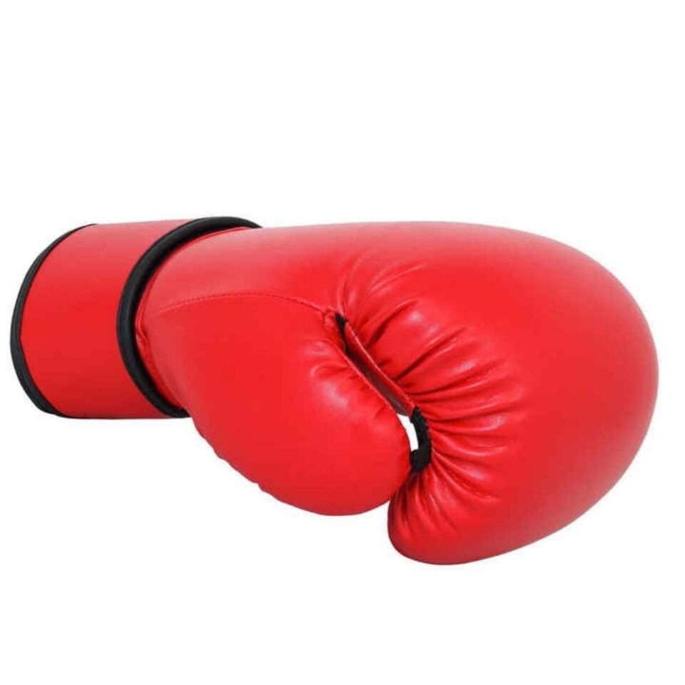 14oz Boxing Gloves 1